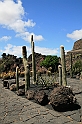 Kanary_2010 236